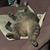 Colleen Mahan's profile image