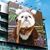 Stephanie Stiver's profile image