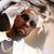 Duane Ambrister's profile image