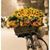 Joanne Forest Demers's profile image