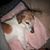 Trianne Young Bowen's profile image