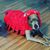 Regina Sanger's profile image