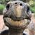 Jennifer Gadberry-Hadrys's profile image