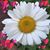 Kathy Rubright's profile image
