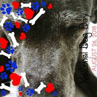 Amanda Yielding's profile image