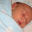 oliver duncan's profile image