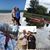 Nancy Lindgren's profile image