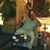 Jordan Armouti's profile image