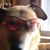 Robert Jones's profile image