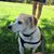 Maribeth Burns's profile image