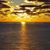 Alicia M Jackson's profile image