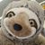 Tammy Coatney's profile image