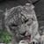Gisela Wolford's profile image