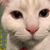 Rhiannon Norby's profile image