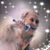 Cheryl A. McCoy's profile image