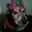 Mike S's profile image
