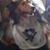 Jamie Skipper's profile image