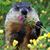 Leeann Robiadek's profile image