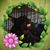 Sue Guarino's profile image