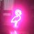 Scott Essex's profile image