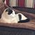 Sandy Bowden's profile image