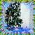 Dale Ebner's profile image