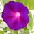 Kimberly Wilber Kucera's profile image