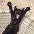Lynna Hilbert's profile image