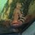 Susanna Lee's profile image