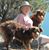 Kathy Fischer's profile image
