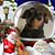 Cindy Franklin's profile image
