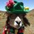 Sandra McGee's profile image
