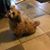 Margie Christian Cardeso's profile image