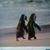 Sinthia Negrete's profile image