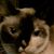 Colette Helseth's profile image