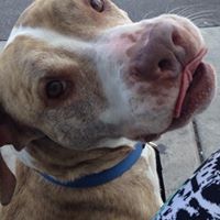 Katlynn Jones's profile image