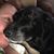 Michelle Alldredge's profile image