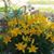 Anna Enders Noblit's profile image