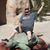 Jimmy Robbins's profile image