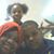 Chyenne Massey's profile image