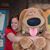Donna Williams Wagnon's profile image