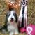 Lois Zebrouvis's profile image