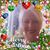Johnette Risden's profile image