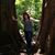 Susanne Cordle's profile image