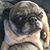 Tina Branom's profile image