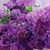 Barbara Farley's profile image