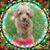Jackie Smith's profile image