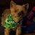 Dee Heiser's profile image