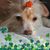 June Cripps's profile image