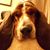 Nadine Archambault's profile image